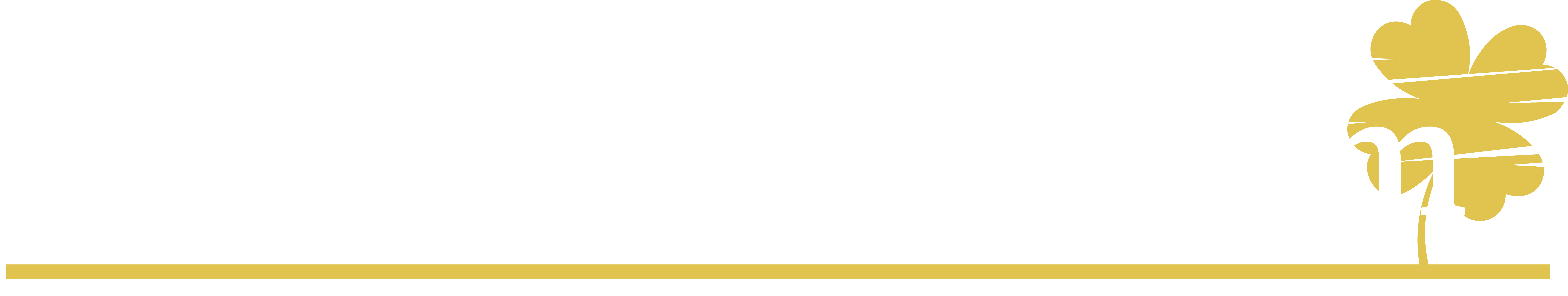 ScratchROI Logo